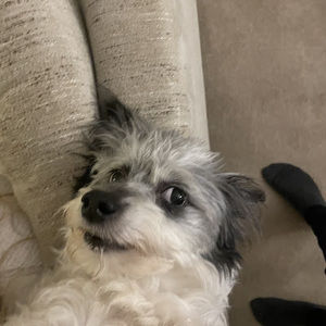 Meet your Posher, Andrew